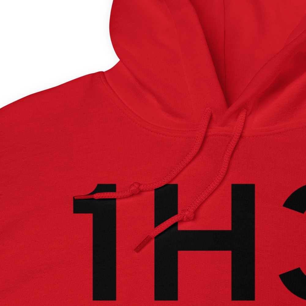 Linn (K1H3) Airport Hoodie Sweatshirt 