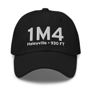 Haleyville (K1M4) Airport Hat