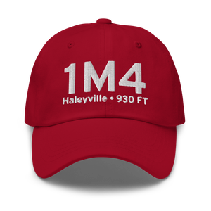 Haleyville (K1M4) Airport Hat