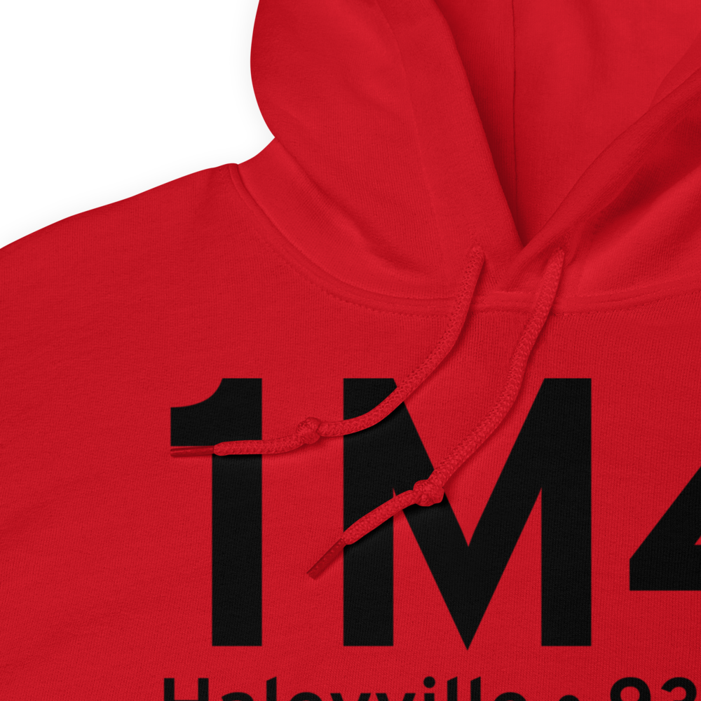 Haleyville (K1M4) Airport Hoodie Sweatshirt 