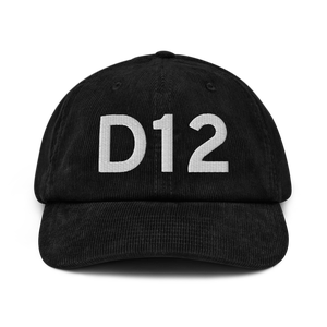 Garden Valley (D12) Airport Hat