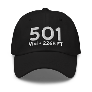 Vici (5O1) Airport Hat