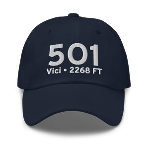 Vici (5O1) Airport Hat