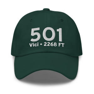 Vici (5O1) Airport Hat