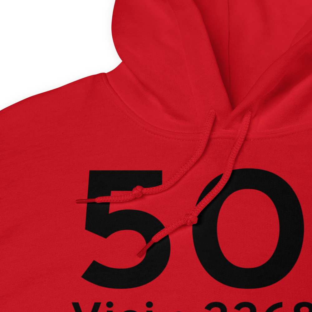 Vici (5O1) Airport Hoodie Sweatshirt 