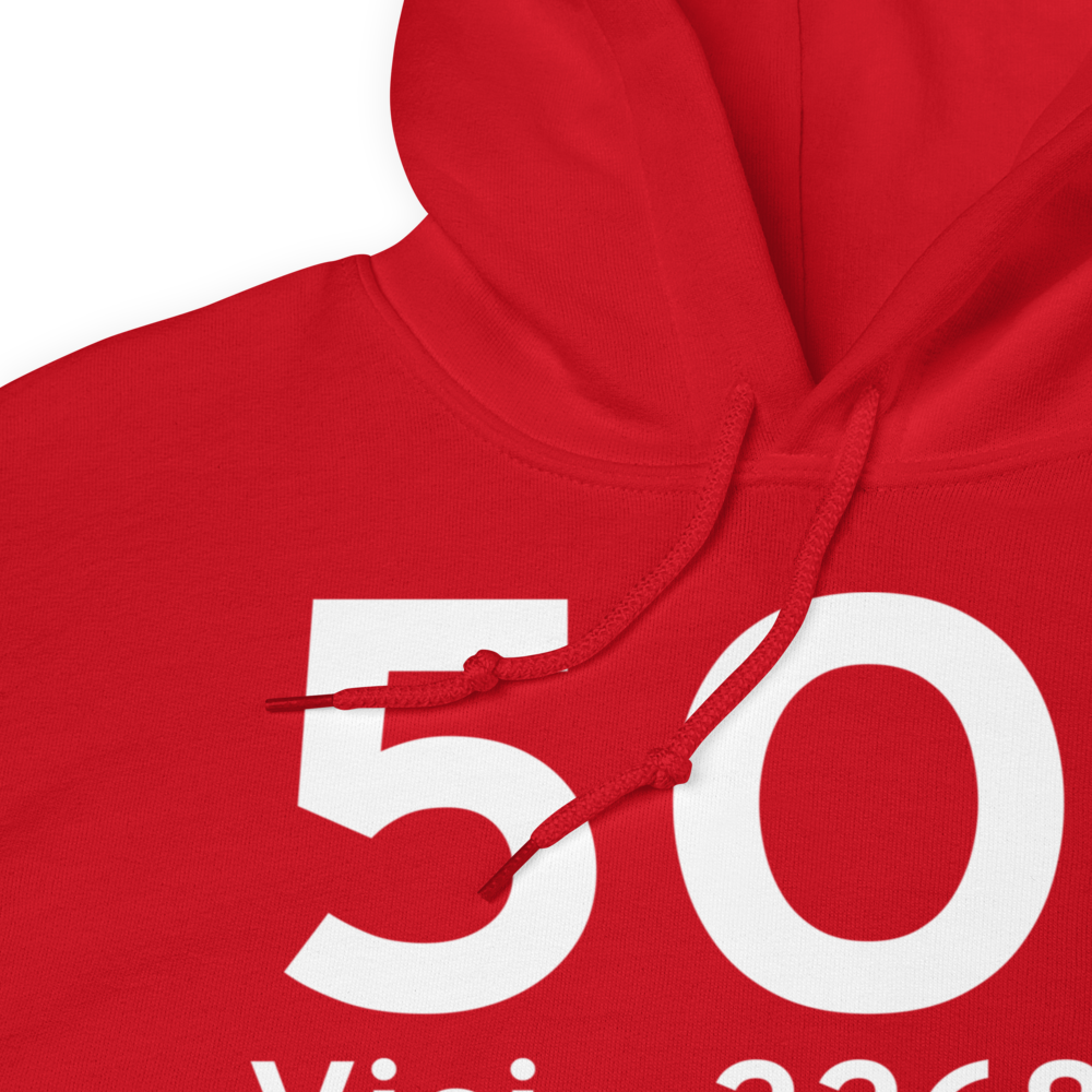 Vici (5O1) Airport Hoodie Sweatshirt 