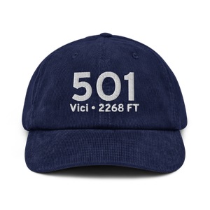 Vici (5O1) Airport Hat