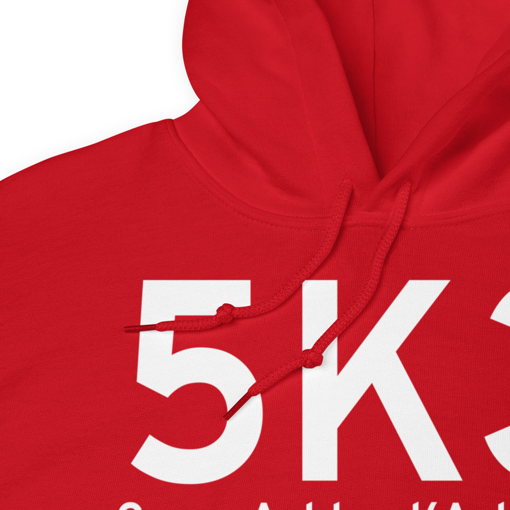 Camp Ashland(Ashland) (5K3) Airport Hoodie Sweatshirt 