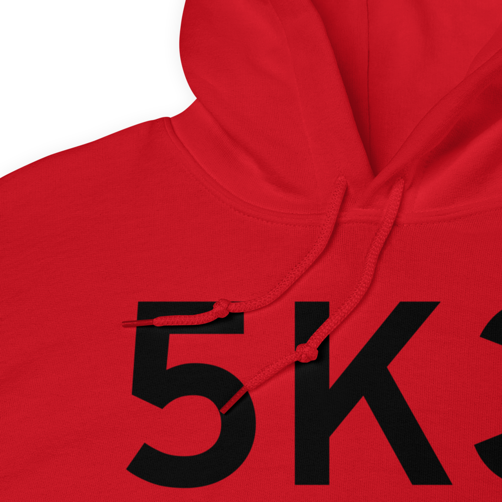 Camp Ashland(Ashland) (5K3) Airport Hoodie Sweatshirt 