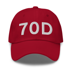 Arthurdale (70D) Airport Hat