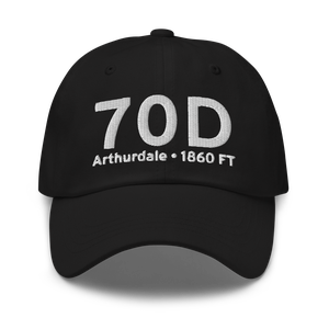 Arthurdale (70D) Airport Hat