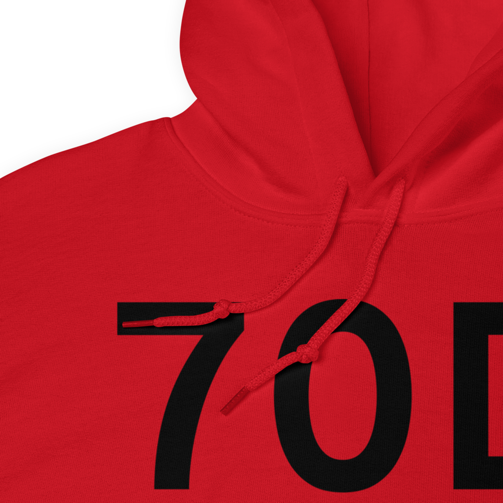 Arthurdale (70D) Airport Hoodie Sweatshirt 