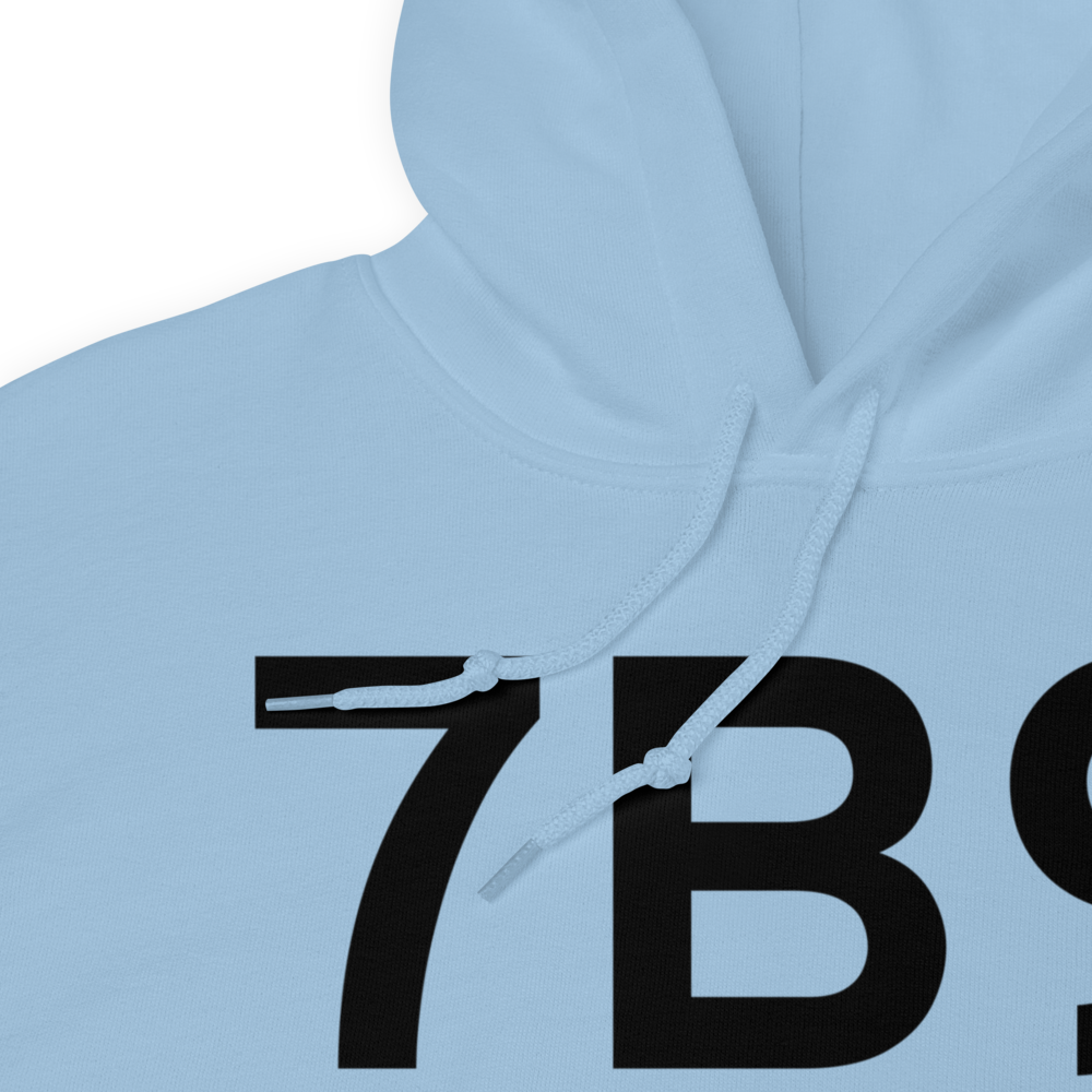 Ellington (7B9) Airport Hoodie Sweatshirt 
