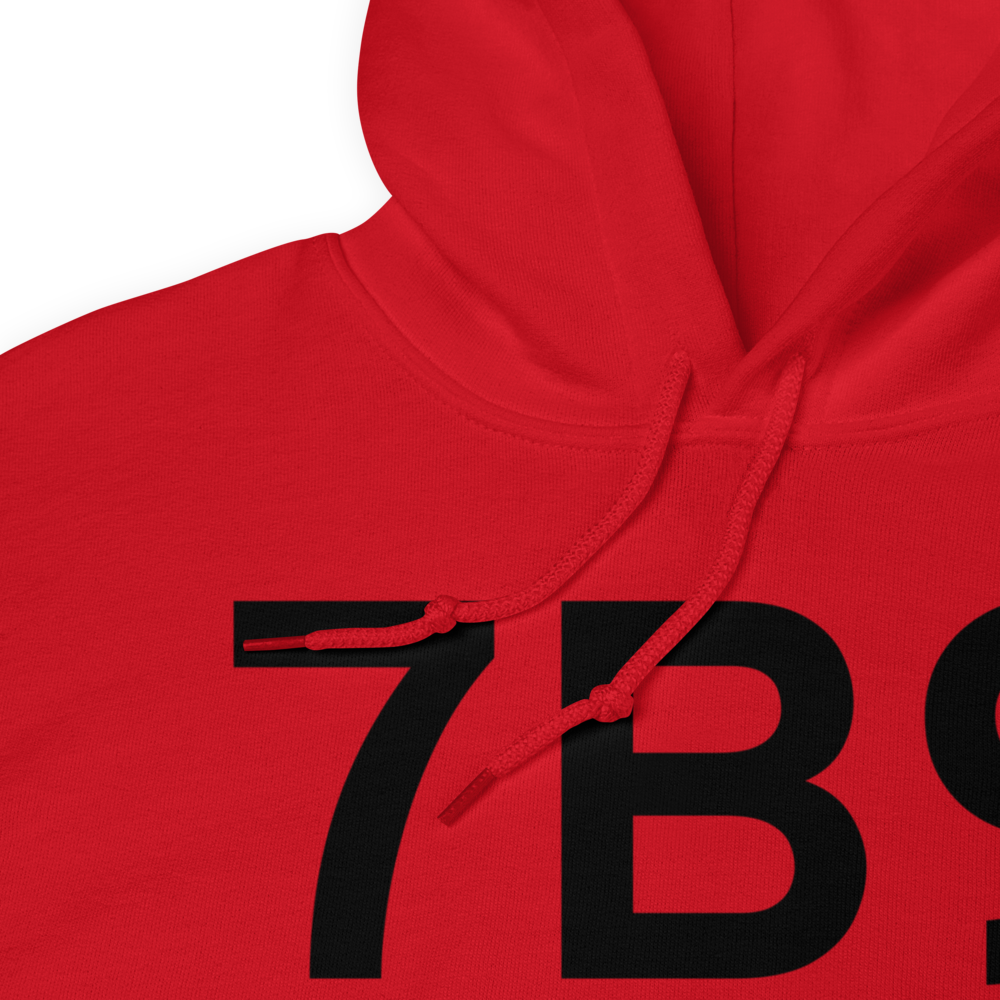 Ellington (7B9) Airport Hoodie Sweatshirt 