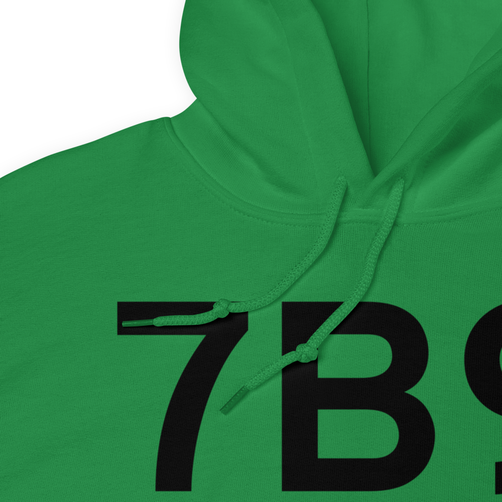 Ellington (7B9) Airport Hoodie Sweatshirt 