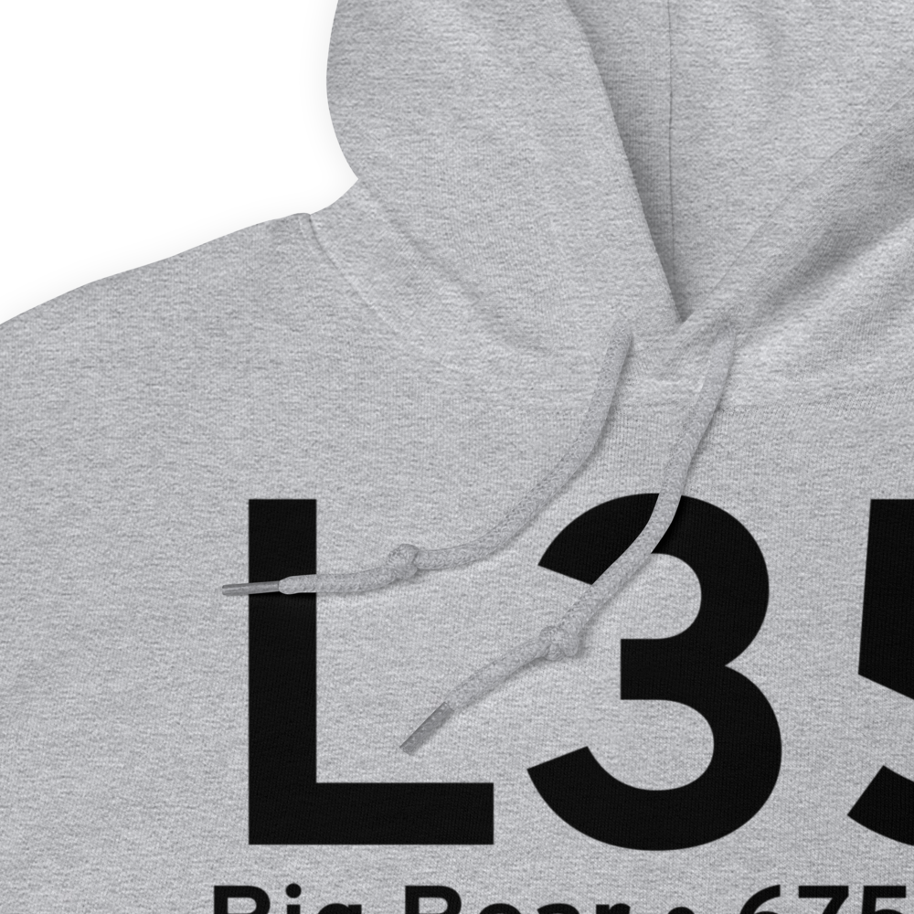 Big Bear (KL35) Airport Hoodie Sweatshirt 