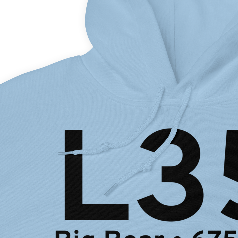 Big Bear (KL35) Airport Hoodie Sweatshirt 