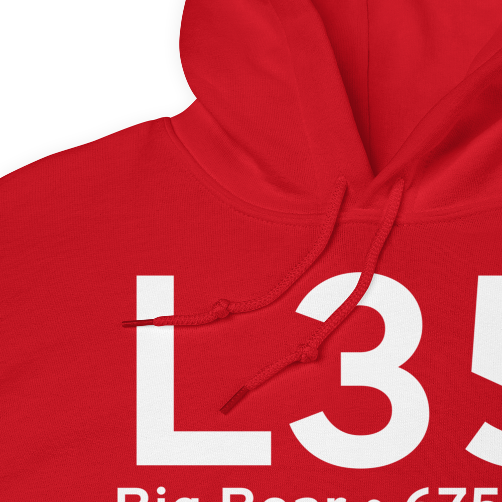 Big Bear (KL35) Airport Hoodie Sweatshirt 