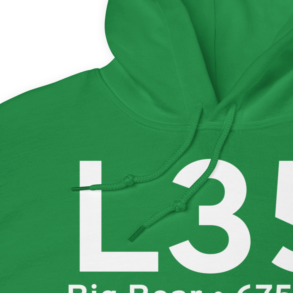 Big Bear (KL35) Airport Hoodie Sweatshirt 