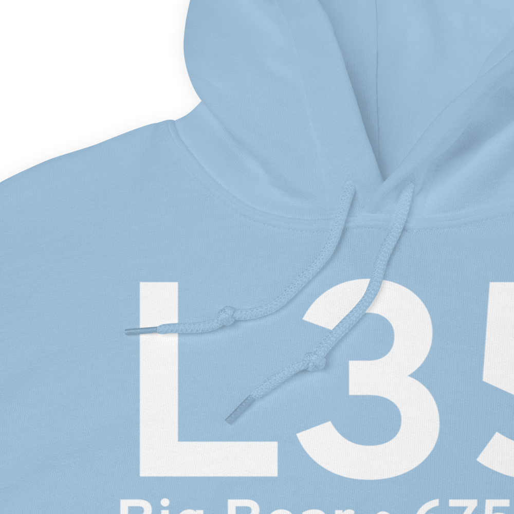Big Bear (KL35) Airport Hoodie Sweatshirt 
