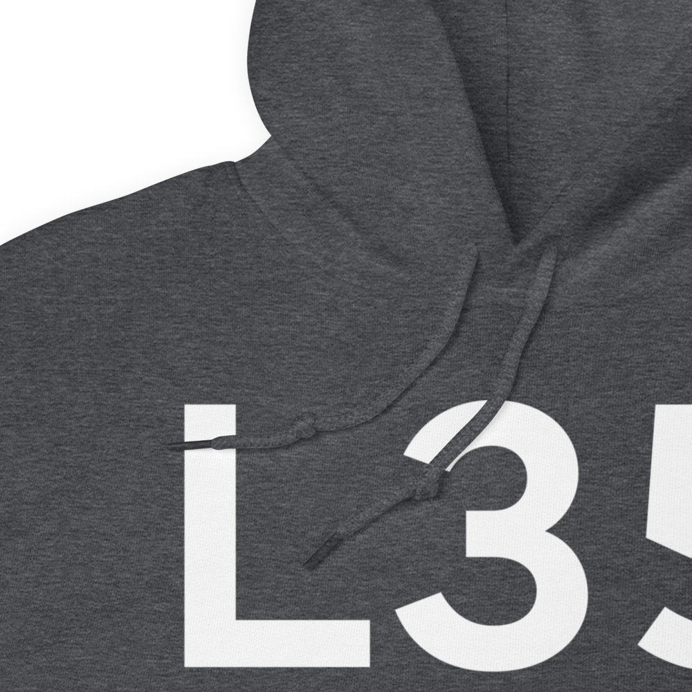 Big Bear (KL35) Airport Hoodie Sweatshirt 