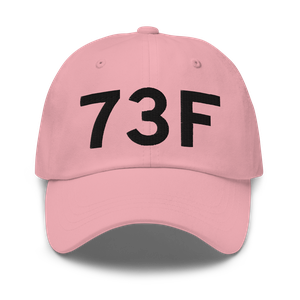 Waco (73F) Airport Hat