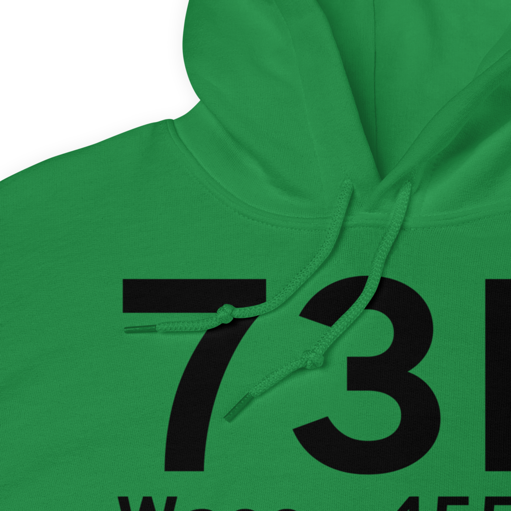 Waco (73F) Airport Hoodie Sweatshirt 