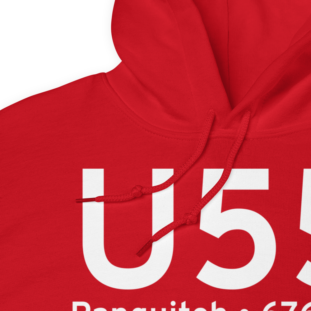 Panguitch (KU55) Airport Hoodie Sweatshirt 
