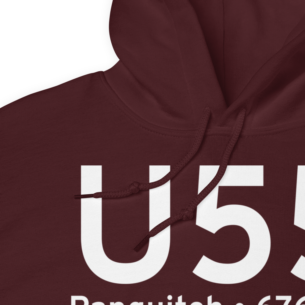 Panguitch (KU55) Airport Hoodie Sweatshirt 