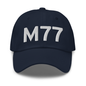 Nashville (KM77) Airport Hat