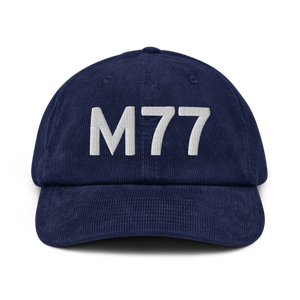 Nashville (KM77) Airport Hat