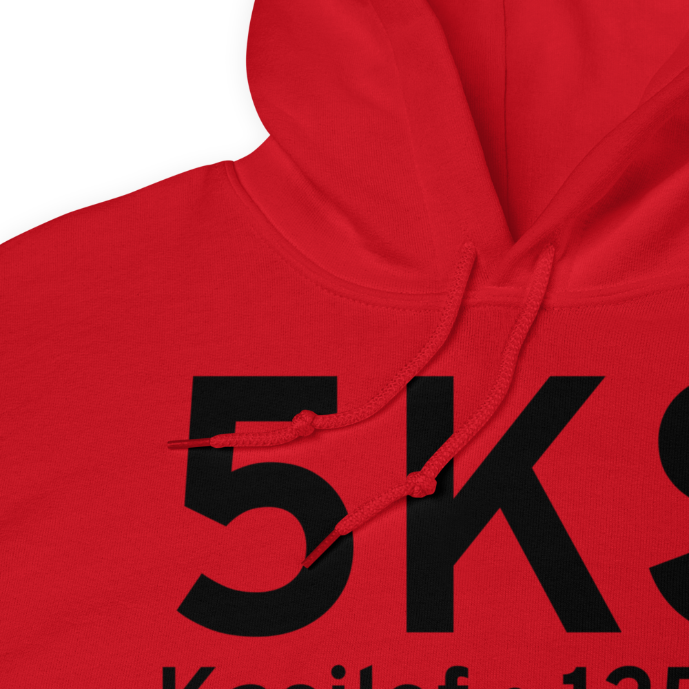 Kasilof (5KS) Airport Hoodie Sweatshirt 