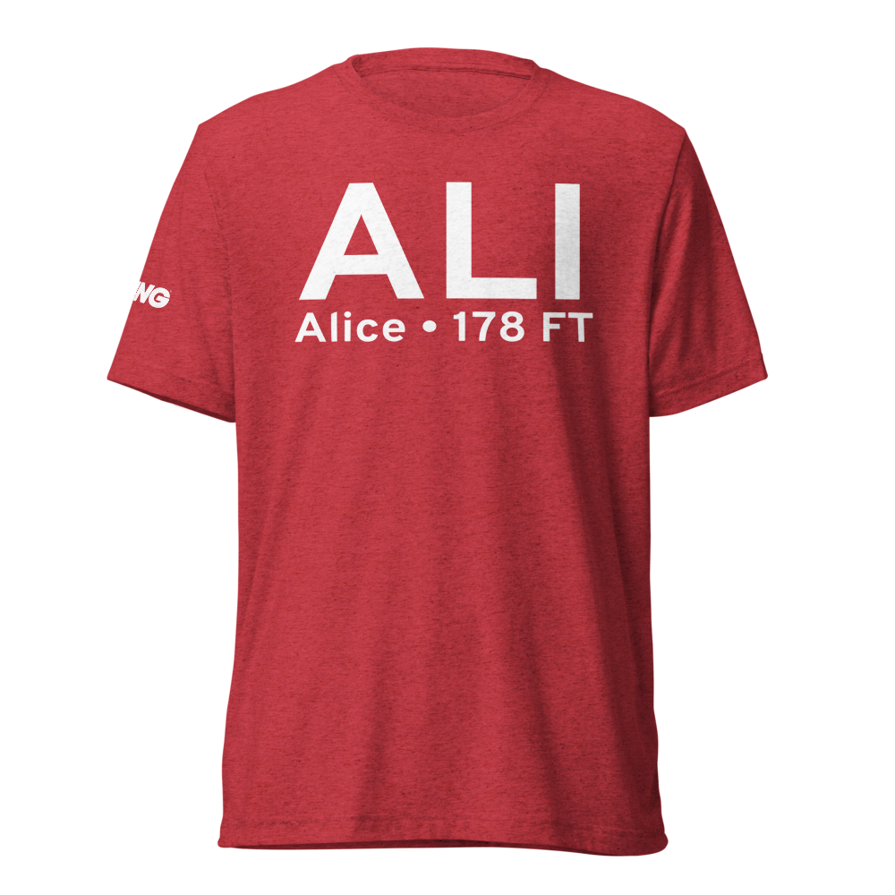 Alice (KALI) Airport Tri-blend T-Shirt 