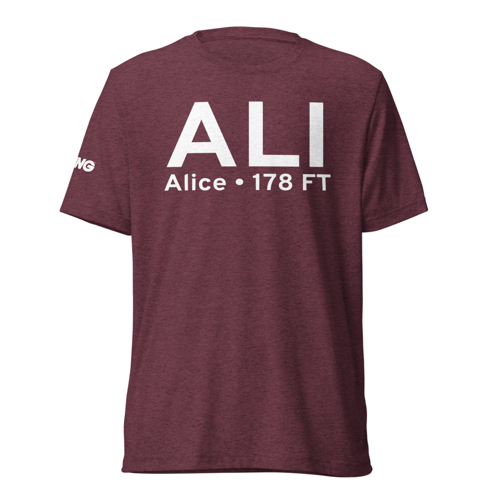 Alice (KALI) Airport Tri-blend T-Shirt 