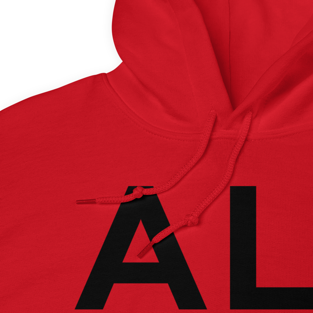 Alice (KALI) Airport Hoodie Sweatshirt 