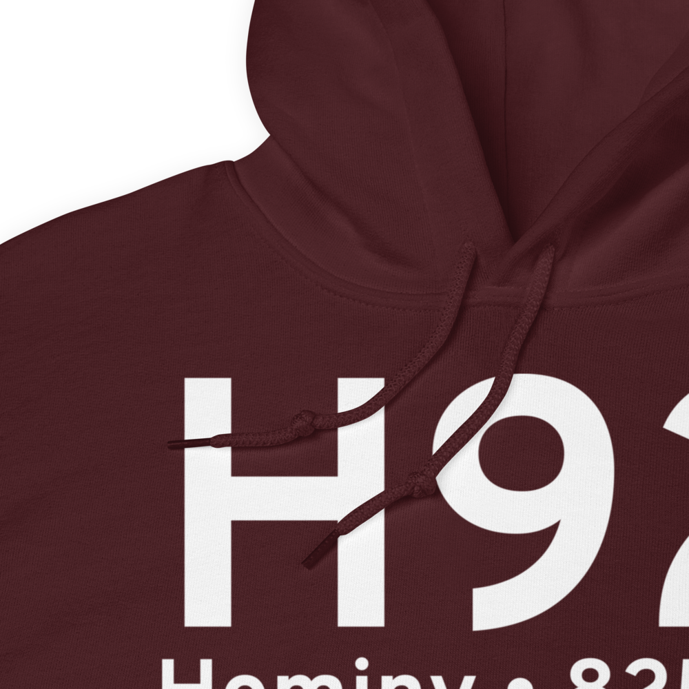 Hominy (KH92) Airport Hoodie Sweatshirt 