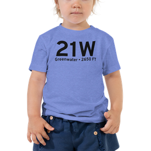 Greenwater (21W) Airport Toddler T-Shirt