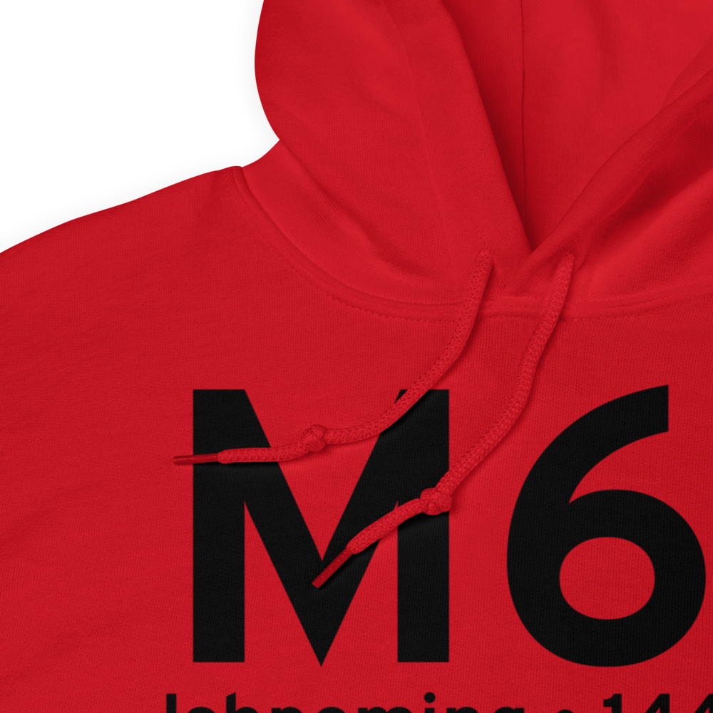 Ishpeming (M61) Airport Hoodie Sweatshirt 