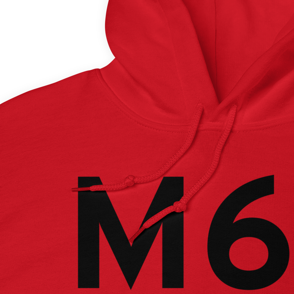 Ishpeming (M61) Airport Hoodie Sweatshirt 