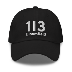 Bloomfield (1I3) Airport Hat