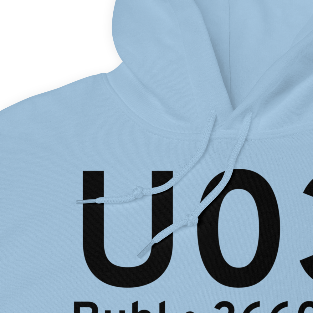 Buhl (KU03) Airport Hoodie Sweatshirt 