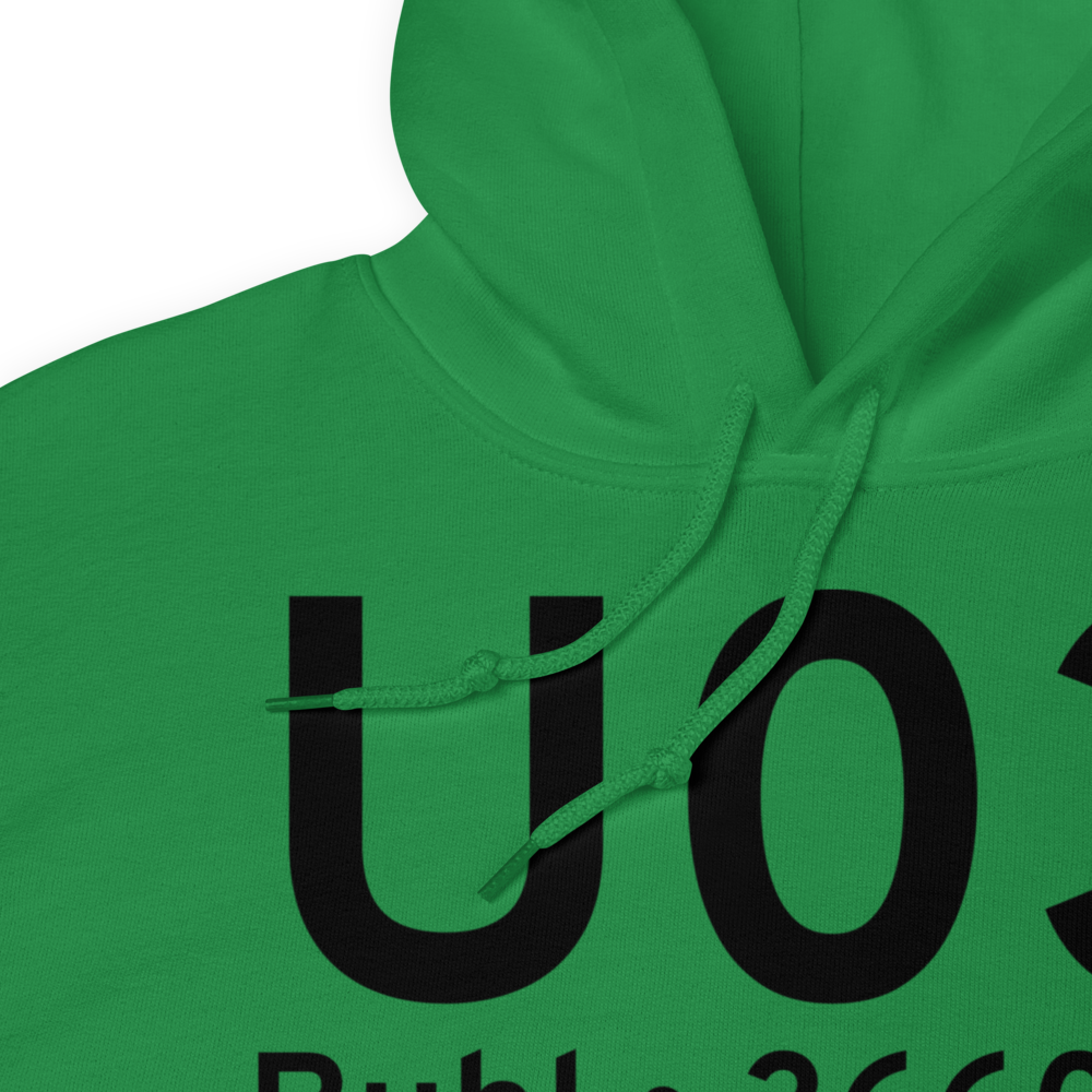 Buhl (KU03) Airport Hoodie Sweatshirt 