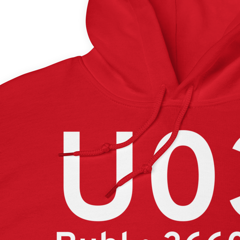 Buhl (KU03) Airport Hoodie Sweatshirt 