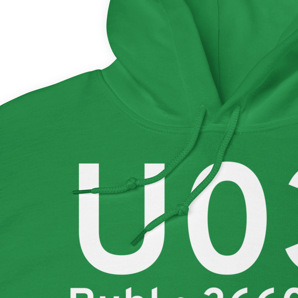 Buhl (KU03) Airport Hoodie Sweatshirt 