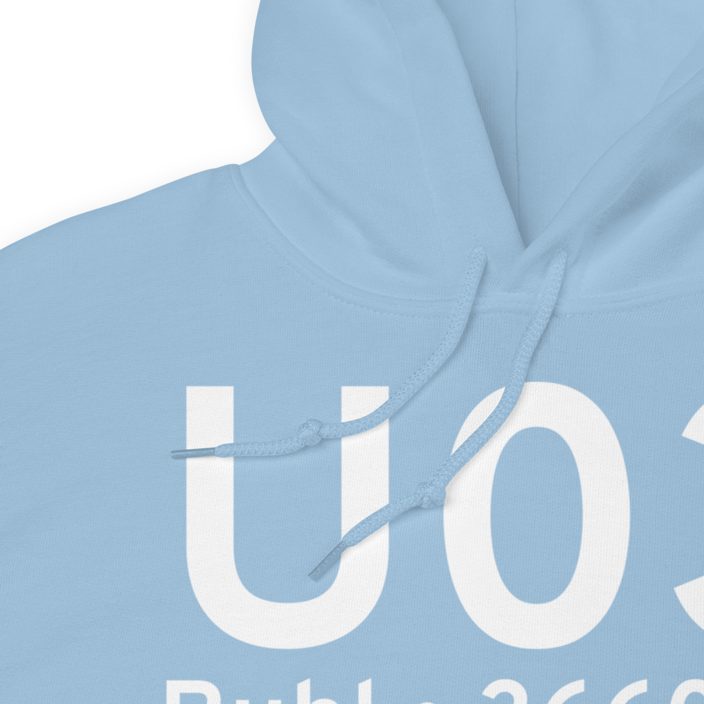 Buhl (KU03) Airport Hoodie Sweatshirt 