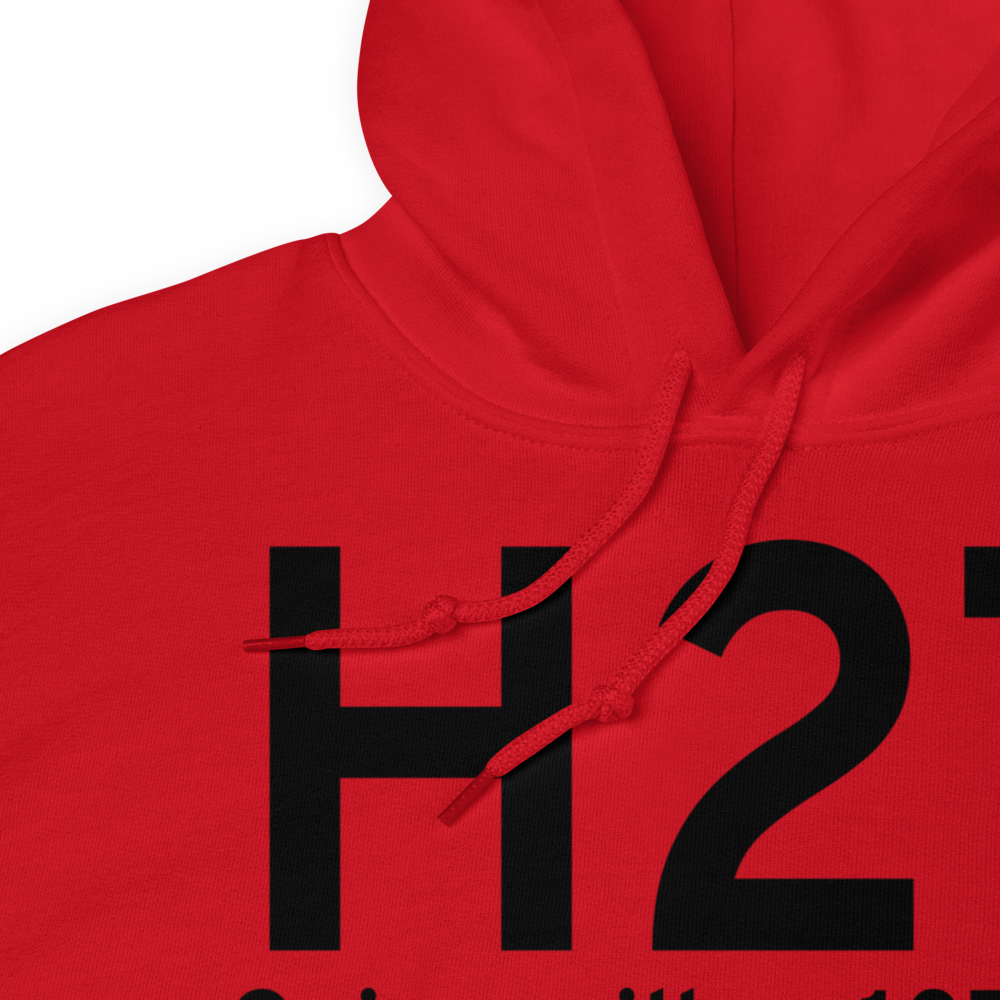 Gainesville (H27) Airport Hoodie Sweatshirt 