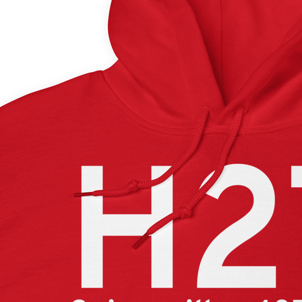 Gainesville (H27) Airport Hoodie Sweatshirt 