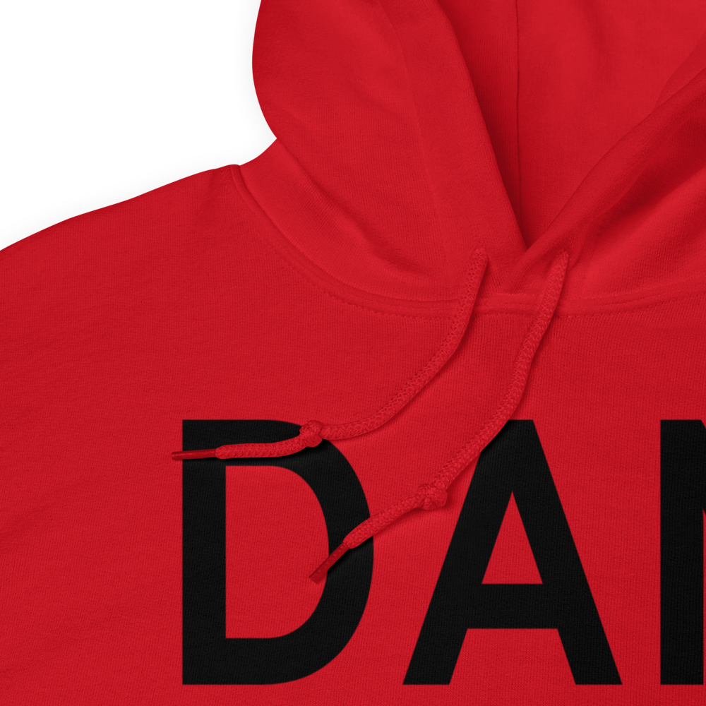 Danville (KDAN) Airport Hoodie Sweatshirt 