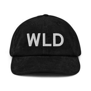 Winfield/Arkansas City (KWLD) Airport Hat