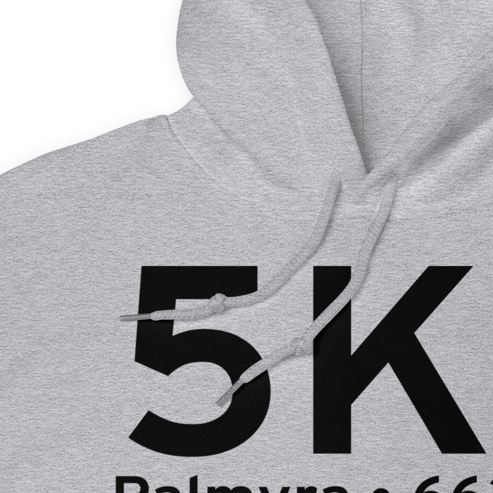 Palmyra (K5K1) Airport Hoodie Sweatshirt 